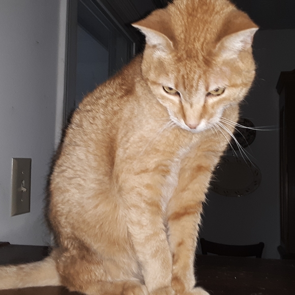 Meet your Posher, Sally - Picture 11 of 16